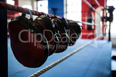 Close-up of mitts hanging from boxing ring
