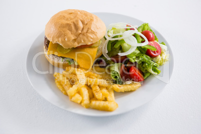 Burger with salad and French fries in plate