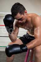 Wounded boxer relaxing in the boxing ring