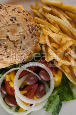 Hamburger, french fries, and salad in plate on table