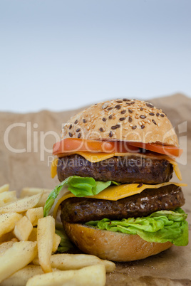 Hamburger and french fries on paper
