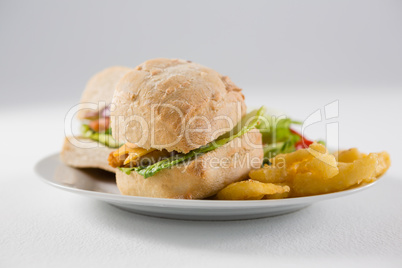 Close up of burgers with french fries in plate