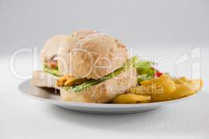 Close up of burgers with french fries in plate