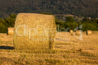 Straw bales in the light of sunset