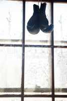Pair of boxing gloves hanging on window