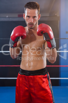 Portrait of confident male boxer in fighting stance