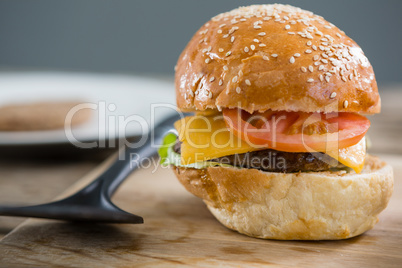 Close up of cheese hamburger