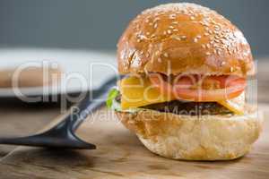 Close up of cheese hamburger