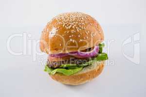 Close up of sesame seed on hamburger