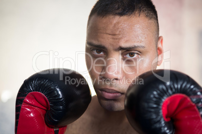 Close-up portrait of young male boxer