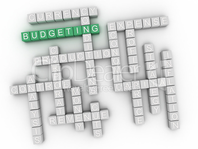 3d Budgeting Concept word cloud