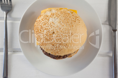 Hamburger served in plate