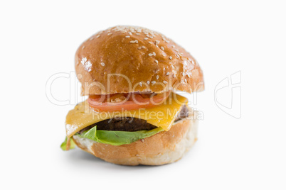 Close up of cheeseburger with sesame seeds