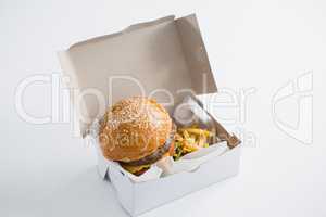 Close up of hamburger and French fries in box