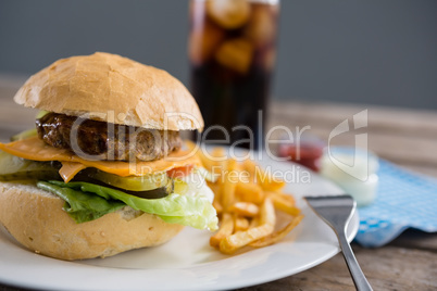Close up of hamburger and french fries served in plate