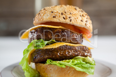 Hamburger in plate