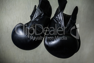 Boxing gloves in fitness studio