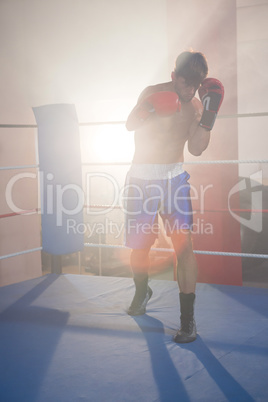 Back lit male boxer punching in boxing ring