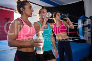 Exhausted young athletes drinking water by boxing ring
