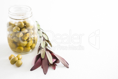 Preservative olives in jar