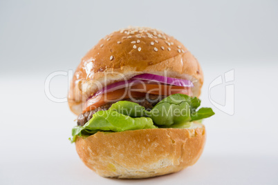 Close up of hamburger with sesame seed