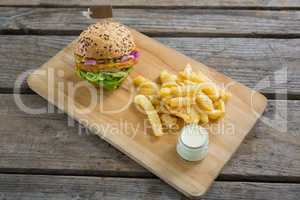 Burger and french fries with dip