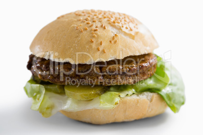 Close up of hamburger with leaf vegetable