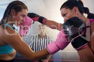 Female boxers punching each other