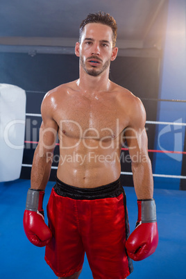 Portrait of confident male boxer wearing red gloves