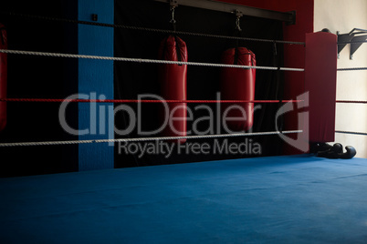 Empty boxing ring