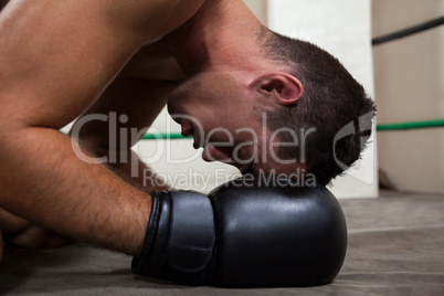 Boxer relaxing in the boxing ring
