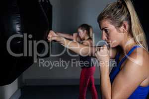 Women practicing boxing in fitness studio