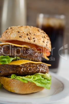 Hamburger in plate