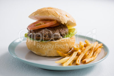 Close up of hamburger with french fires in plate