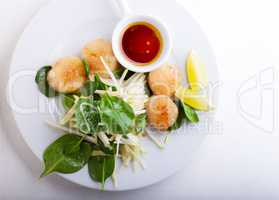 Scallop Salad with greenery