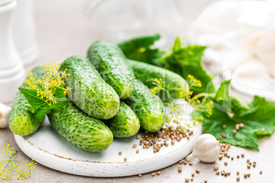 Fresh cucumbers and ingredients for conservation. Preparation marinated salted cucumbers with herbs and salt.