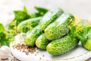 Fresh cucumbers and ingredients for conservation. Preparation marinated salted cucumbers with herbs and salt.