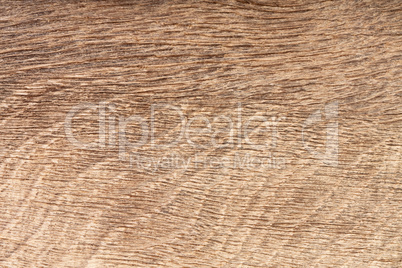 High resolution natural wood bog oak grain texture.