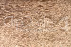 High resolution natural wood bog oak grain texture.