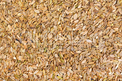 Dried fennel seeds background.