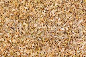 Dried fennel seeds background.