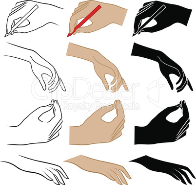 Set of twelve human hands