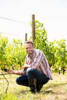 Portrait of man touching grapes at vineyard