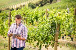 Man using tablet and phone at vineyard
