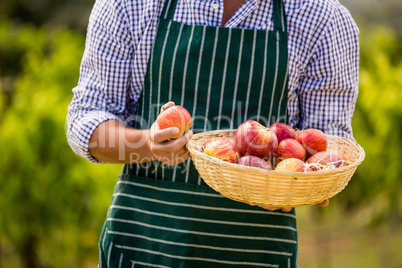 Midsection of man holding apple basket