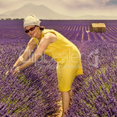 Woman in lavender field