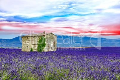 Landscape in Provence