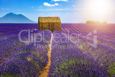 Landscape in Provence