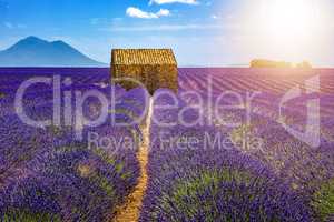 Landscape in Provence