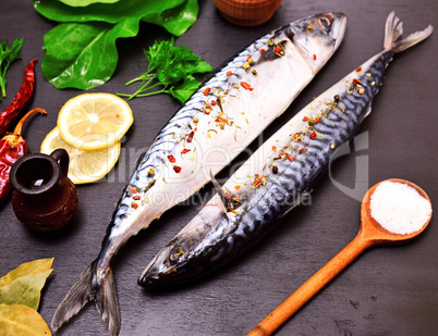 mackerel in spices on a black wooden background